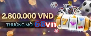 68vn