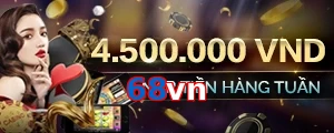 68vn